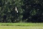 14th Hole