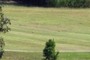 15th Tee