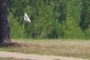 15th Hole