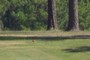 16th Tee