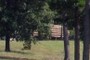Log Truck on Highway
