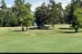 6th Green