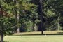 3rd Tee