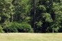 6th Tee