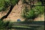 5th Tee