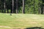 4th Tee