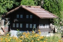 169501-210x140