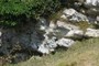chert beds