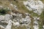 Grit stone