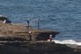 People on the rocks