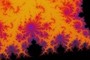 Beautiful Colors