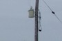 Electric box