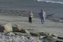 Couple walking on a beach