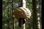 Wooden art