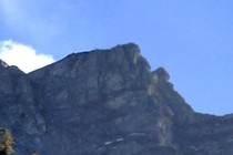 172442-210x140