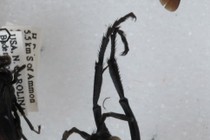 171503-210x140