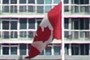 Maple Leaf