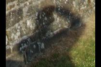 18482-210x140