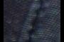 Stitched stiching.