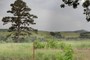 Ozark County Missouri