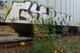 Paint