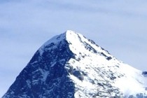 172466-210x140