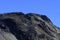 172479-210x140