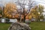 Cross on the stone