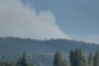 Prescribed Fire