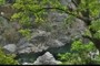 Swimming Hole