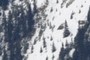 Avalanche Scars