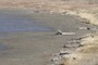 Mud flats