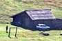 hut, cow and herdsman