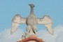 Aquila