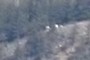 Mountain Sheep?