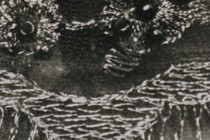 172856-210x140