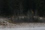 Road to Jasper townsite