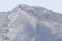 173433-210x140