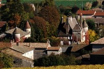 173294-210x140
