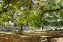 Greenlawn Cemetery