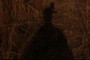 Photographer Shadow