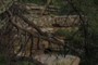 Mogollon cliff