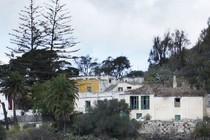 173605-210x140