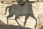 Shadow