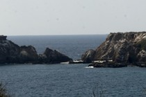 247252-210x140