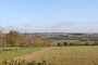 Boulevaard