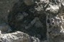 Radiating minerals in obsidian
