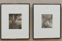 174485-210x140