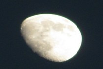 174626-210x140
