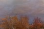 Storm